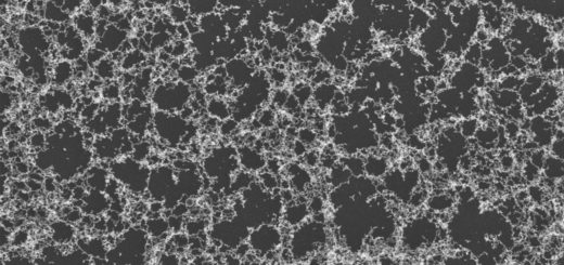 Silicon dioxide nanoparticles
